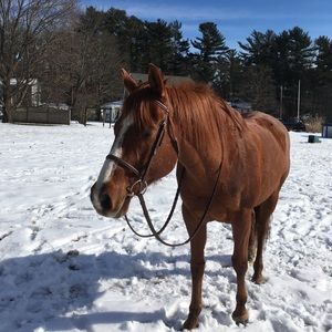 Meet your Posher, Tarah